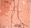 <b>Sin título (inocencias) - 30x30 cm - 1999</b><br>Técnica: serigrafia a 4 tintas sobre Papeles superpuestos<br>Edición: pieza única